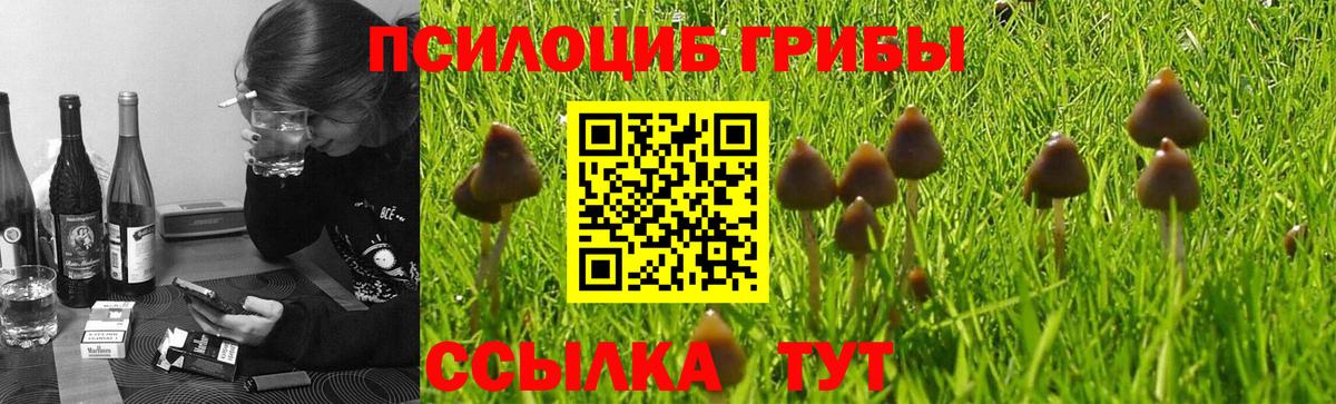Галлюциногенные грибы GOLDEN TEACHER Тара